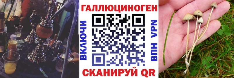 Псилоцибиновые грибы прущие грибы  Купить закладки  Ревда 